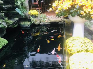 Chủ hạ giá mạnh bán nhanh lô nại nam 8 sát tòa 69 tầng, chỉ 19,950 tỷ có ngay dt 118m2 ngang 6m.