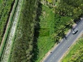 Đất đẹp quản lộ phụng hiệp  có lộ giới & đất ở