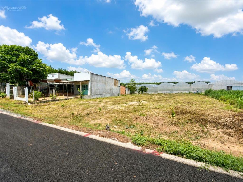 Cô nguyệt cần bán 254m2 đất giá 280tr tại phú giáo, bình dương. gọi tôi xem đất