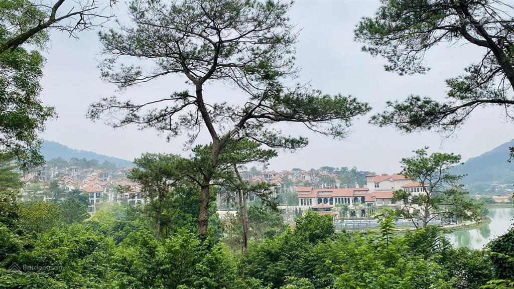 Em ngọc anh bán căn biệt thự camellia residences giá gốc cđt chỉ từ 1x tỷ