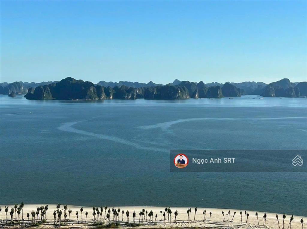 Căn đẹp tòa c3  ck 16%  full nt view vịnh  đầu tư sinh lời  0 rủi ro  cam kết thuê lại