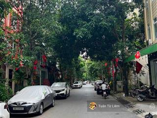 A hoàng chủ nhà cần bán nhanh sang úc với con, nhà 45m2 phân lô, vỉa hè, gara, 7 tầng thang máy,