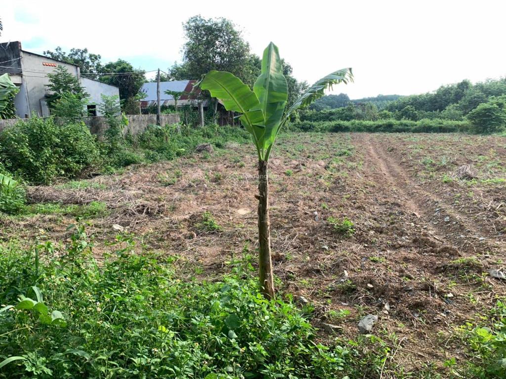 Bán lô đất chính chủ 1000 m2 tại xã minh đức, đồng nai (hớn quảng, bình phước)