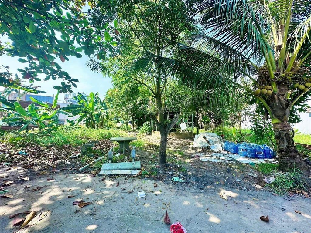 Bán 3 lô đất hóc môn  anh chị tìm đất mua đầu tư hoặc xây nhà theo thiết kế riêng của mình xem nhé