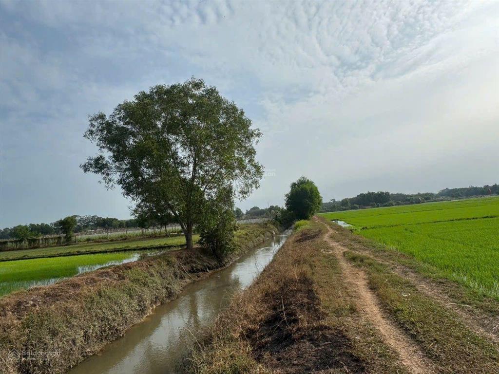 Bán đất xã an nhơn tây  củ chi  giá 690 triệu còn bớt