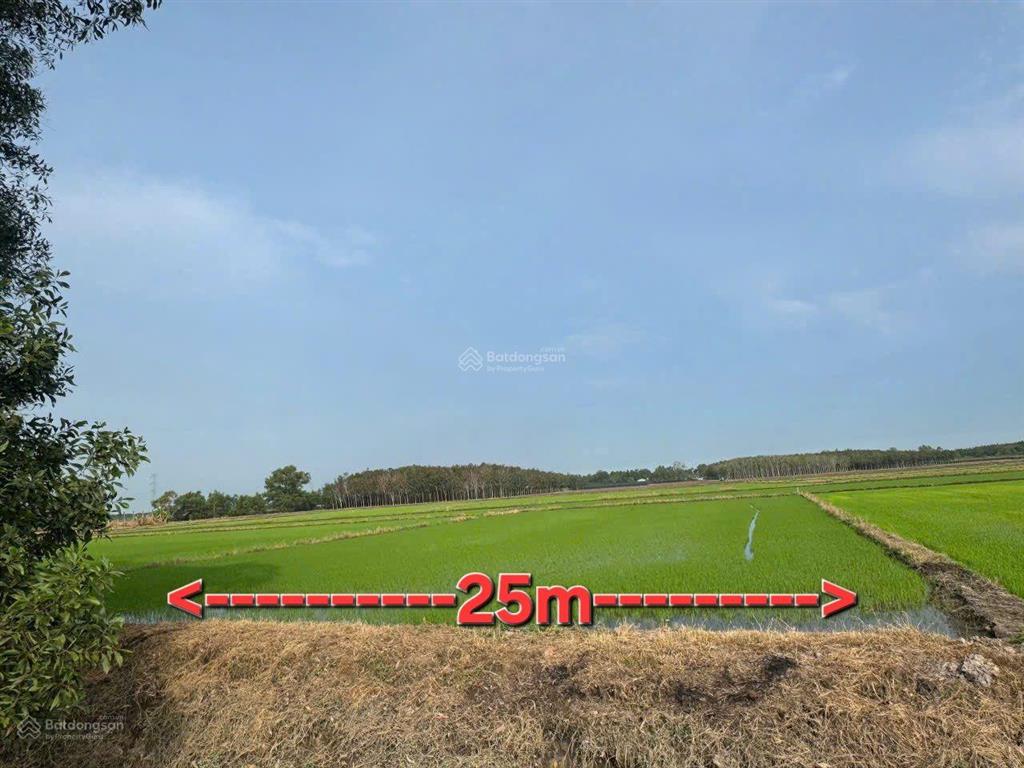 Bán đất xã an nhơn tây  củ chi  giá 690 triệu còn bớt