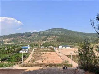 Đất 2 mặt tiền đường bê tông 300m không gian thung lũng thông xanh