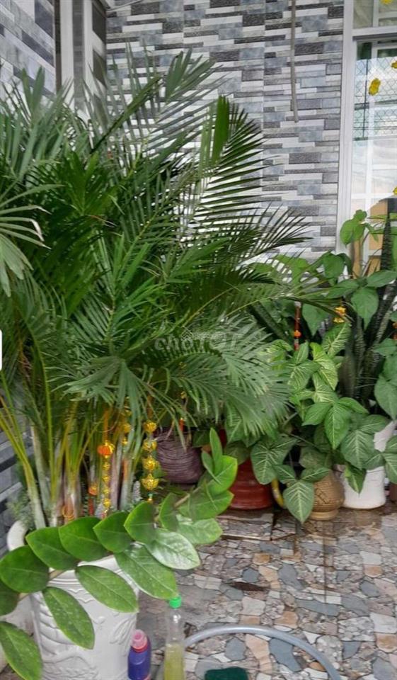 Nhà bán trong chợ phú chánh A