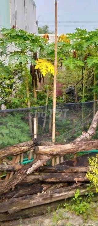 Bán đất phú mỹ ngay phúc đạt hiệp thành 200m Giá 3 tỷ300 lh ***