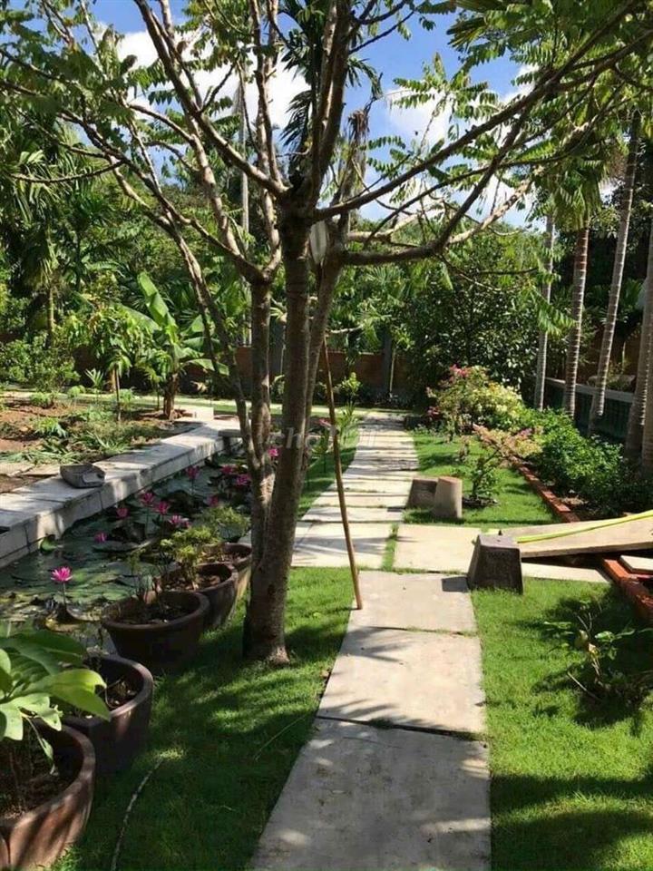 Bán nhà vườn viu nghỉ dưỡng tân an nay phường phú an. Tổng 900m