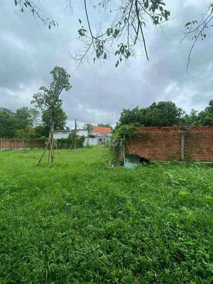Bán đất lớn 900m xây nhà vườn hiawcj làm kho xưởng