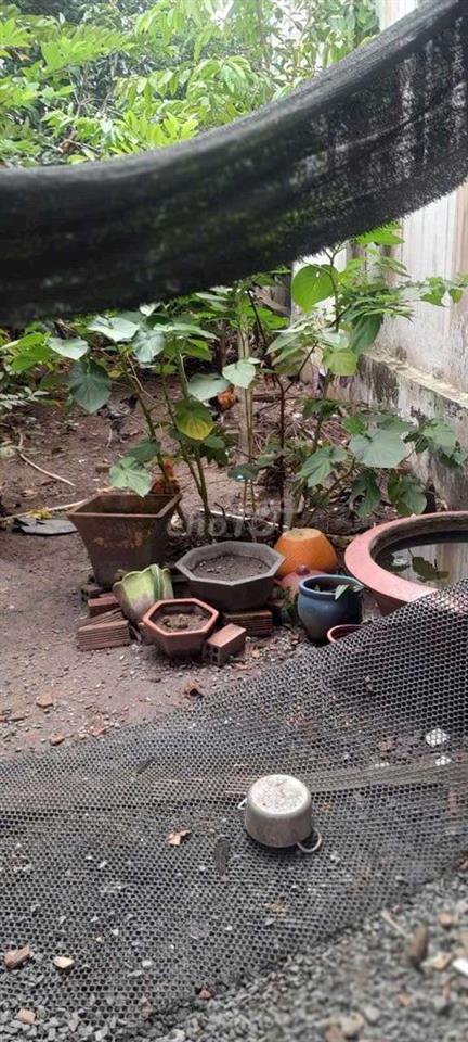 Bán đất định hòa hẻm 71 đường xe hơi. Tổng 125m..Giá 1 tỷ900