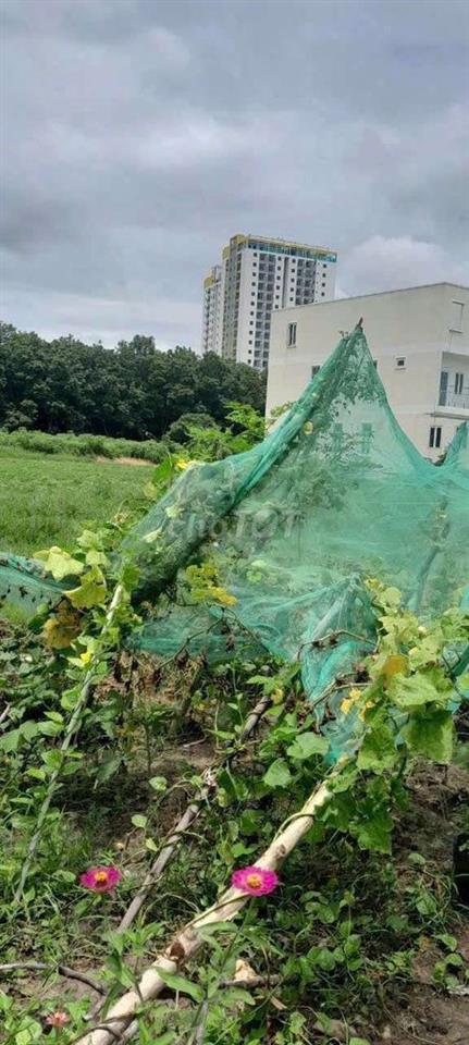 Đất phú mỹ đối diện tái định cư phú tân - TDM