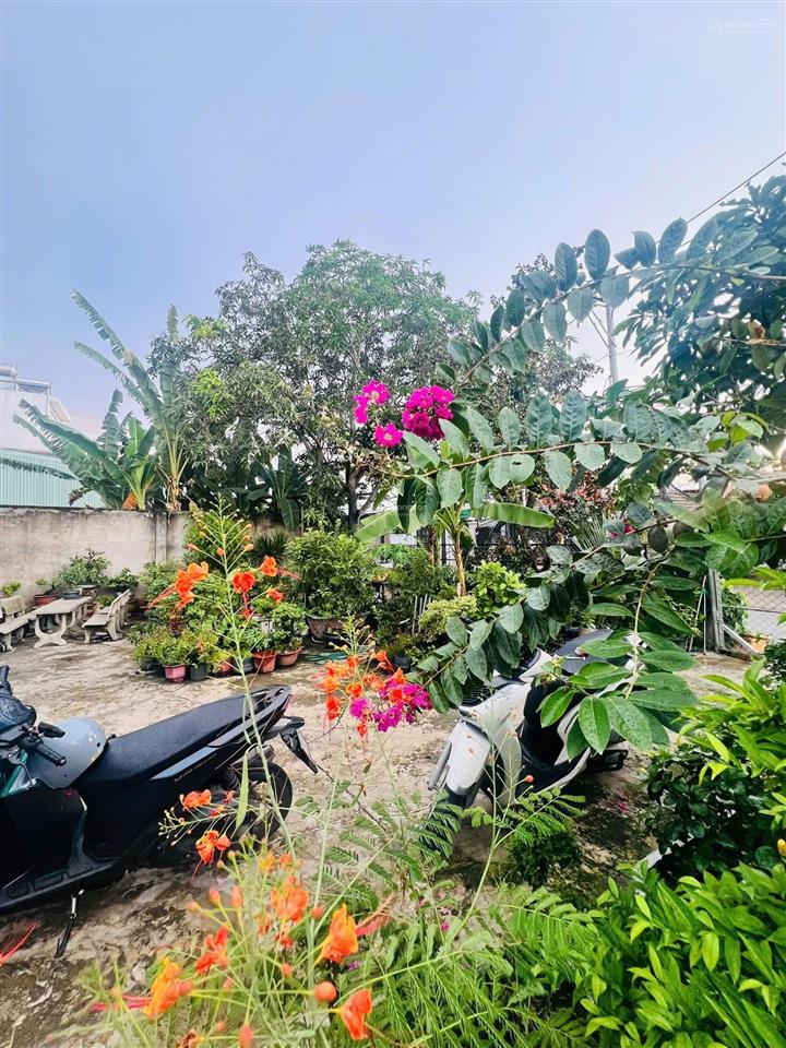 Bán đất võ văn kiệt ngang 8.6m khủng (ô tô thông không lộ giới  8.6m x 13m) xây mới vô tư  5.8đ