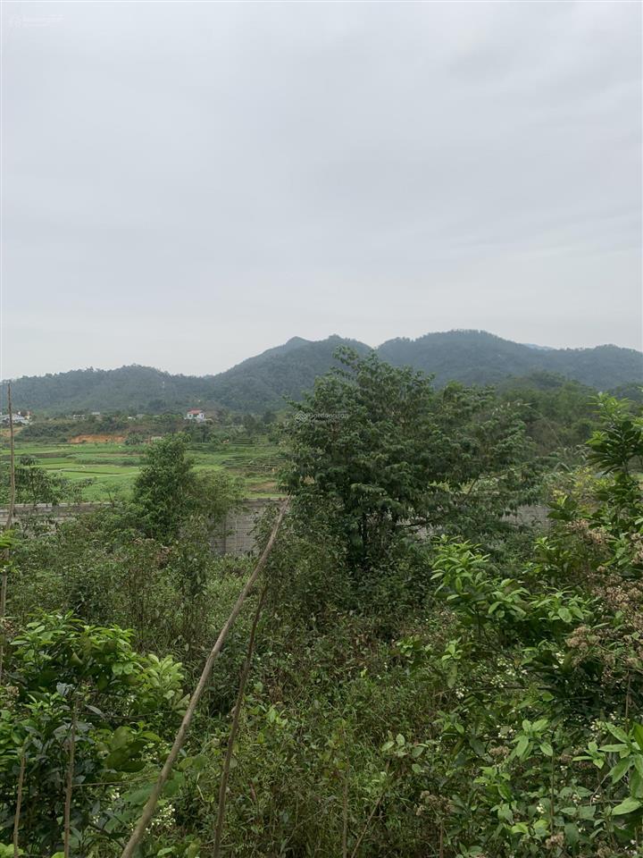 Bán đất tại xã vân hòa, ba vì, hà nội, giá tốt, view đẹp chỉ 6tr/m2
