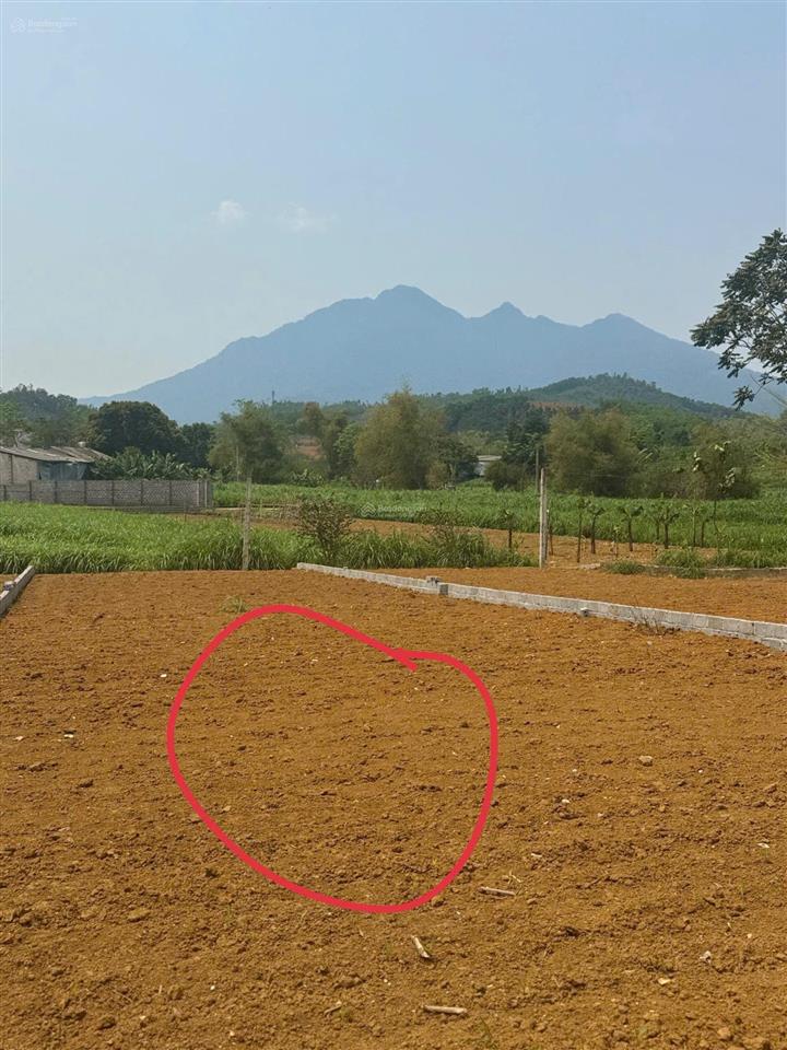 Chốt đất đón xuân giá chỉ 2 tỷ, lô đất diện tích 262m2 view núi ba vì, không gian sống đáng mơ ước