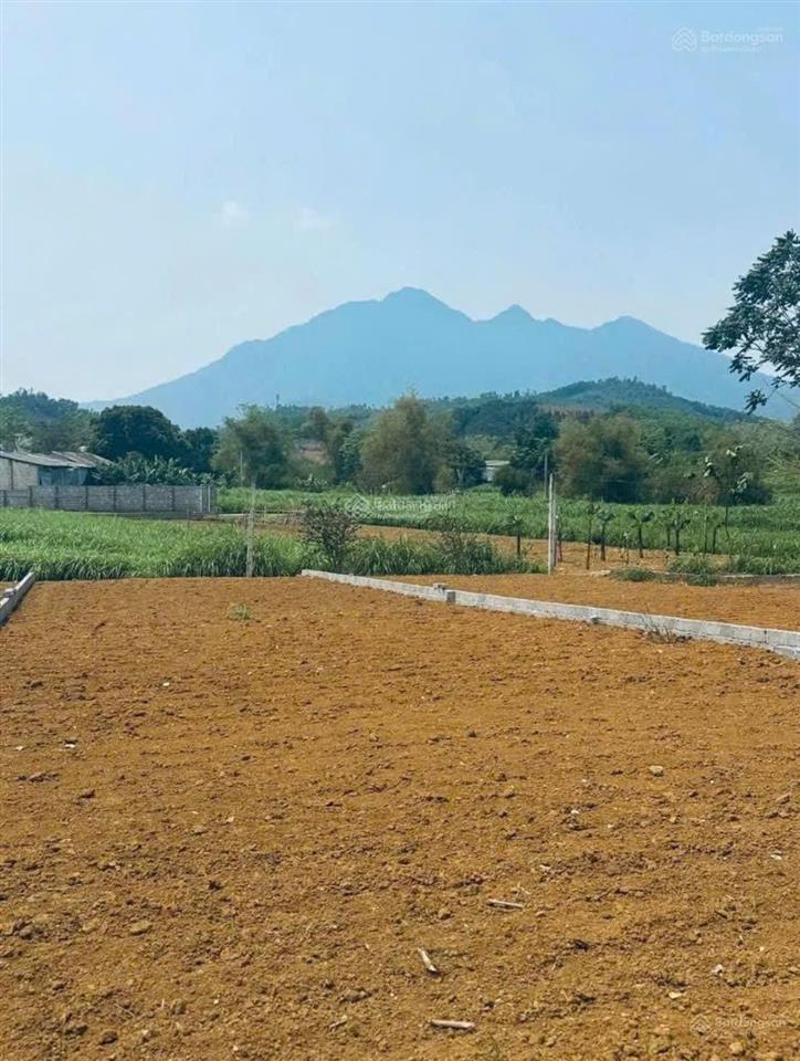 Chốt đất đón xuân giá chỉ 2 tỷ, lô đất diện tích 262m2 view núi ba vì, không gian sống đáng mơ ước