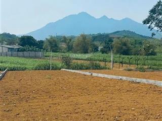 2 tỷ sở hữu ngay đất view núi ba vì cánh đồng trước mặt, không gian sống đáng mơ ước