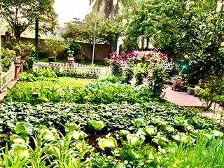 Đất biệt thự phù hợp làm nhà vườn