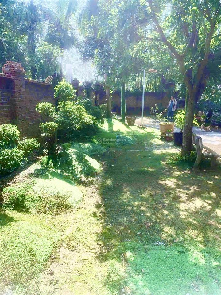 Đất biệt thự phù hợp làm nhà vườn