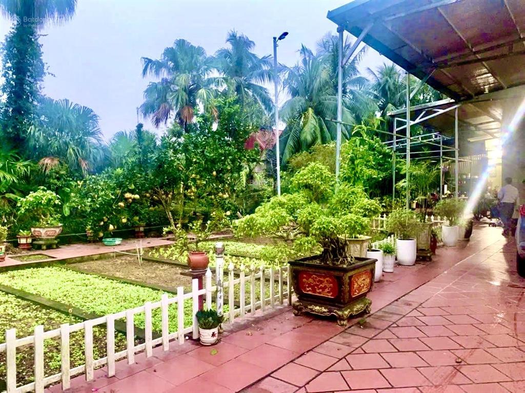 Đất biệt thự phù hợp làm nhà vườn