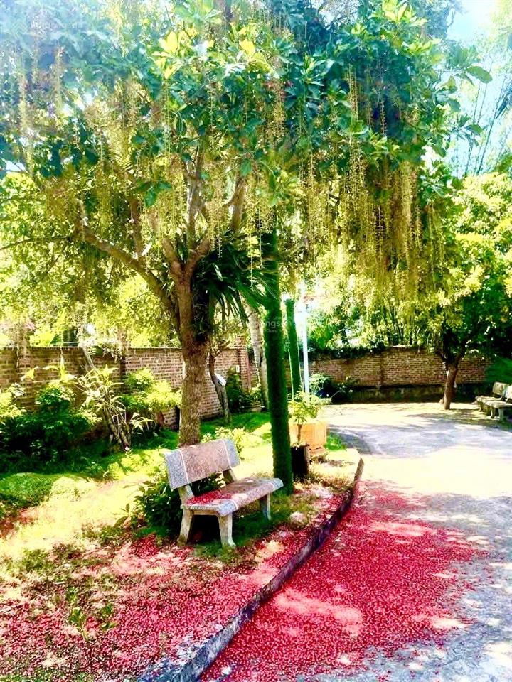 Đất biệt thự phù hợp làm nhà vườn