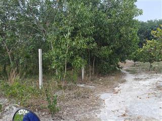 Cho thuê đất skc chính chủ đã tách 5 sổ hồng giá 9,9 triệu/tháng