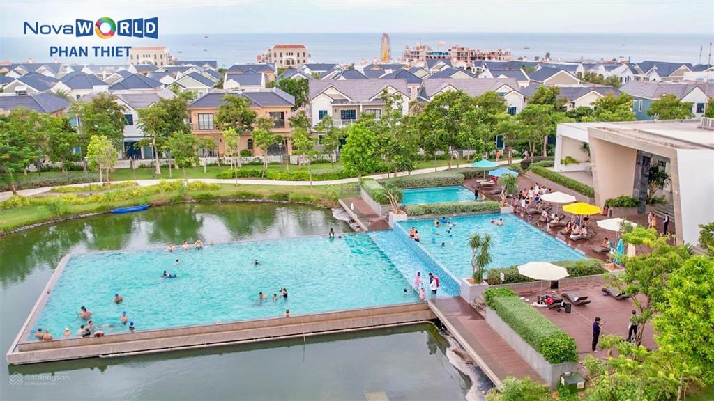 Cập nhật giỏ hàng độc quyền tháng 1/2026 từ chủ đầu tư novaland, vị trí đẹp, chủ nhà thiện chí