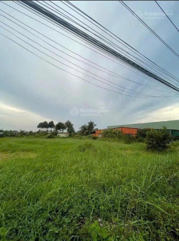 Bán đất mặt tiền nguyễn thông tl 827b long an