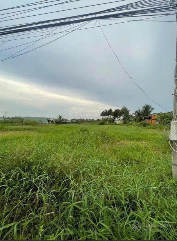 Bán đất mặt tiền nguyễn thông tl 827b long an