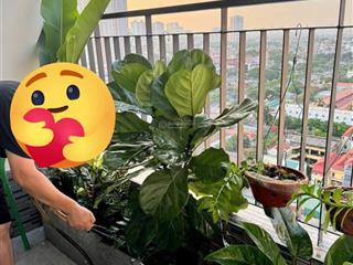 Chính chủ bán căn hộ 2pn giá 3,35 tỷ tại tecco skyville, thanh trì, hà nội