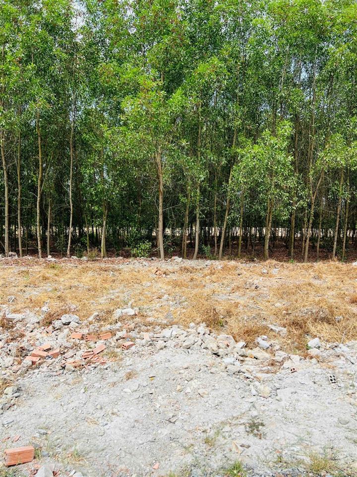 Bán đất sổ riêng thổ cư gần trường thpt vĩnh cửu, tt 300tr nhận đất còn lại ngân hàng hỗ trợ vay