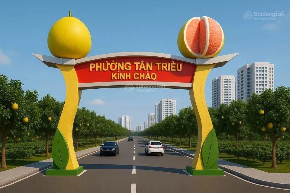 Bán gấp đất biệt thự sân vườn 20x50m thổ cư 100% sổ riêng đường đa lộc, cách chợ thạnh phú tầm 3km