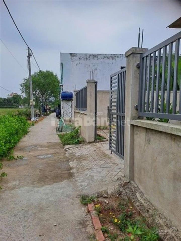 Bán nhà xã bình khánh cần giờ 3,5 tỷ