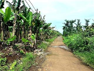 Chính chủ cần bán 2000m2 đất tại cẩm mỹ, đồng nai giá 1 tỷ