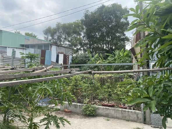 Bán gấp đất hóc môn giá 2 tỷ  105m2, diện tích công nhận 67.8m2 đã thổ cư