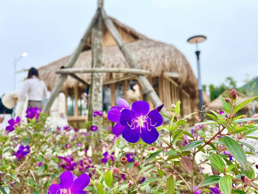 150 triệu sở hữu 1 căn chung cư tại dự án mường central