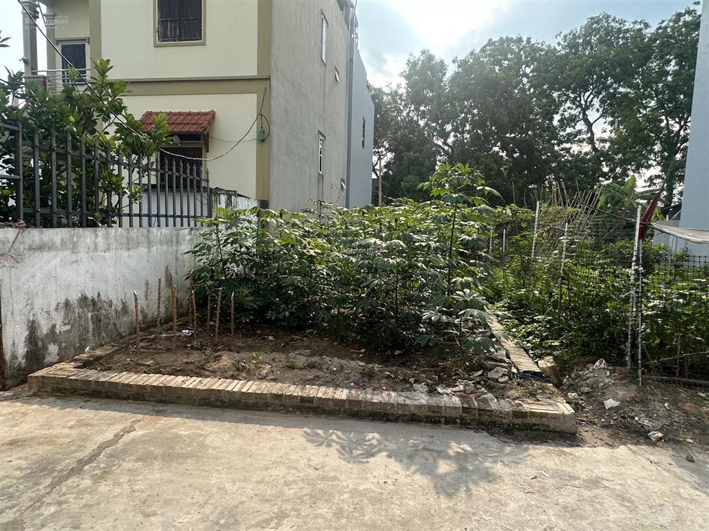 3ty050tr sở hữu lô đất 56,8m tại quang minh