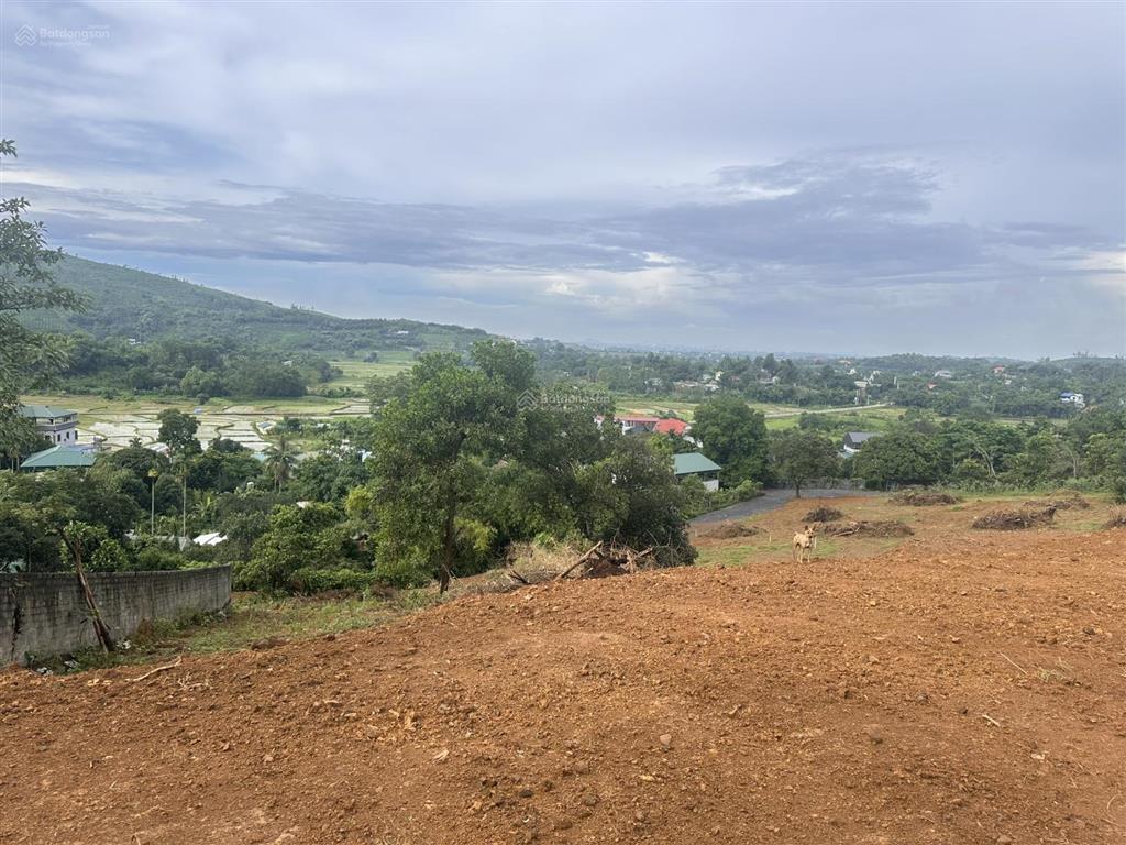 Chính chủ cắt bán diện tích từ 3000m2 đất tại vệ tinh hoà lạc