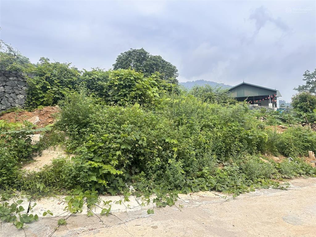 Chính chủ cắt bán diện tích từ 3000m2 đất tại vệ tinh hoà lạc
