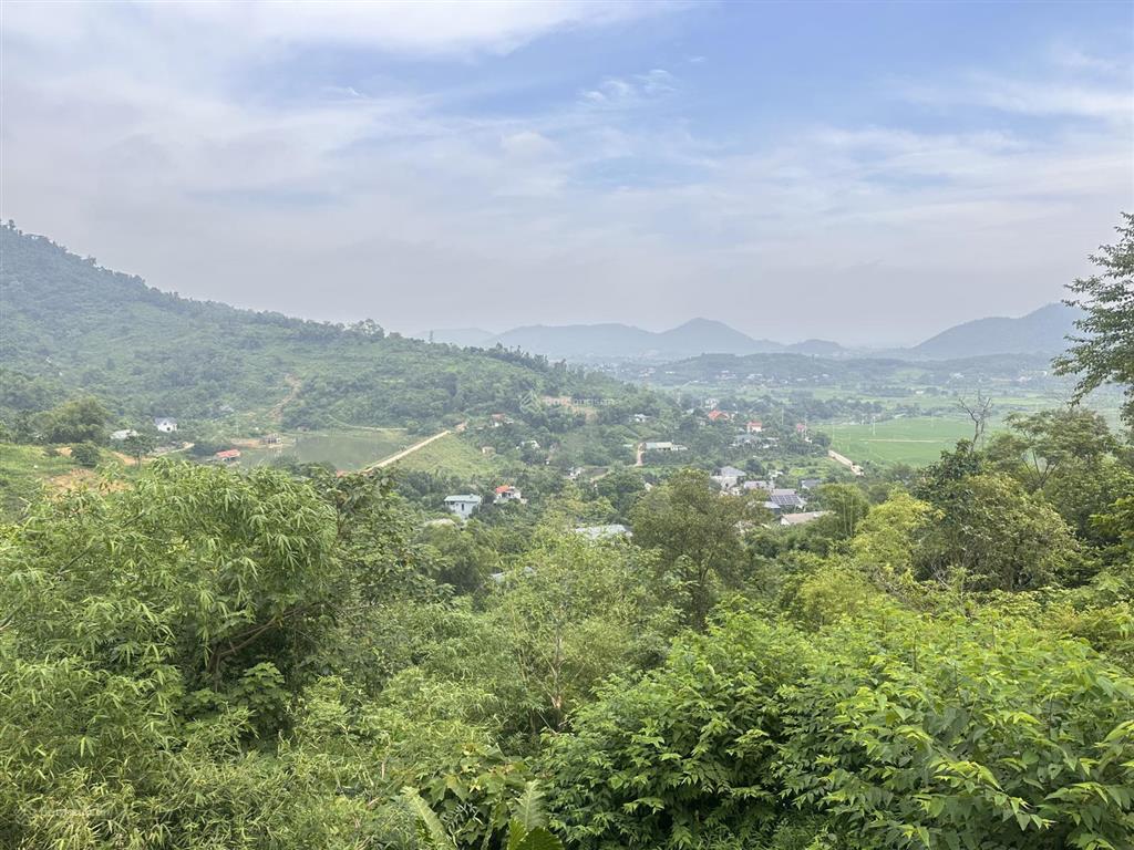 Chính chủ cắt bán diện tích từ 3000m2 đất tại vệ tinh hoà lạc