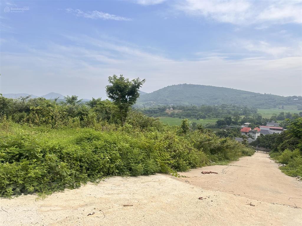Chính chủ cắt bán diện tích từ 3000m2 đất tại vệ tinh hoà lạc