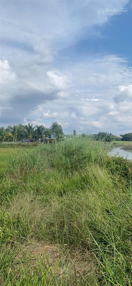 Bán đất đẹp tại hồ thị bưng, 3 tỷ, 2238 m2, pháp lý đầy đủ