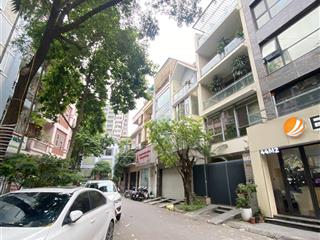 Pl 2 ô tô tránh, dt 55m2*5t thang máy, gara rộng, ngõ thông gần phố, chào 20,3 tỷ, qh ổn định