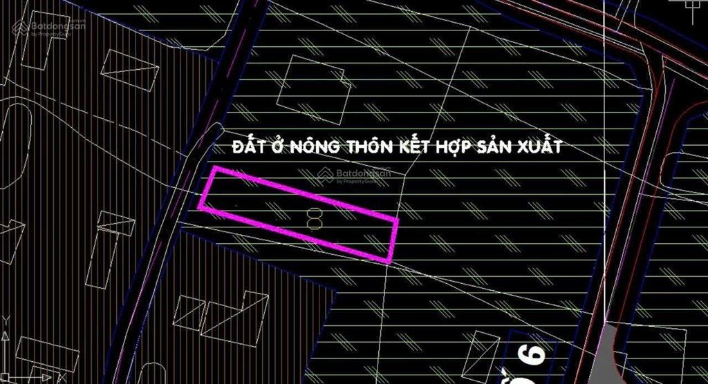Cg phuớc thạnh củ chi tp hcm...
cần bán gấp nhà vườn siêu đẹp, đã hoàn công đường xe hơi.