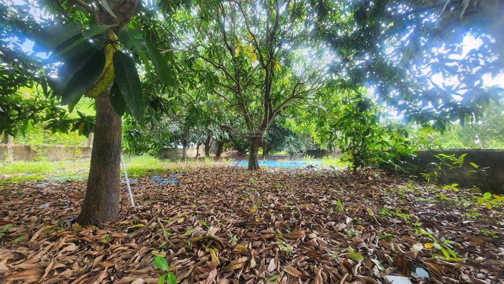 Chính chủ bán biệt thự 1000m2 đường lý nhơn  cần giờ. giá 12,5tỷ