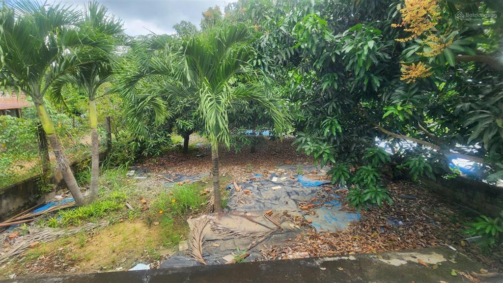 Chính chủ bán biệt thự 1000m2 đường lý nhơn  cần giờ. giá 12,5tỷ