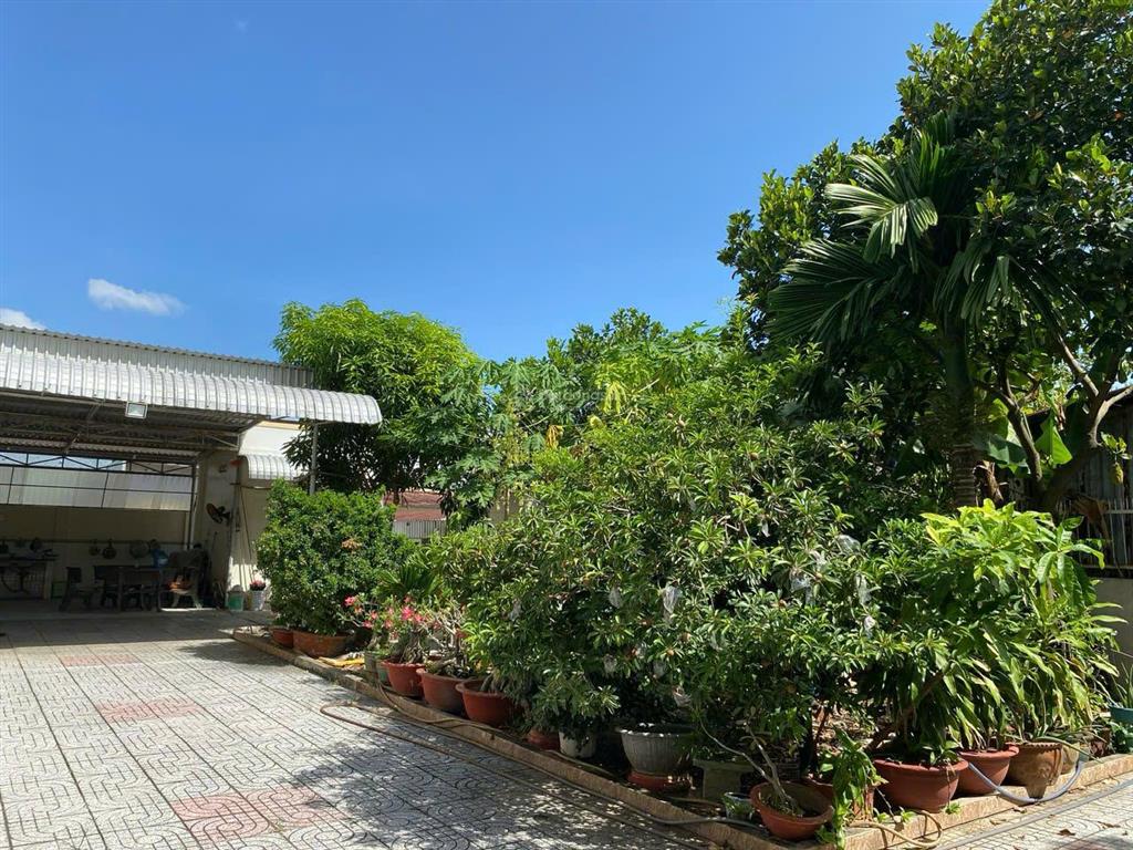 Chính chủ bán biệt thự 550m2 trung tâm bà rịa, hơn 8 tỷ