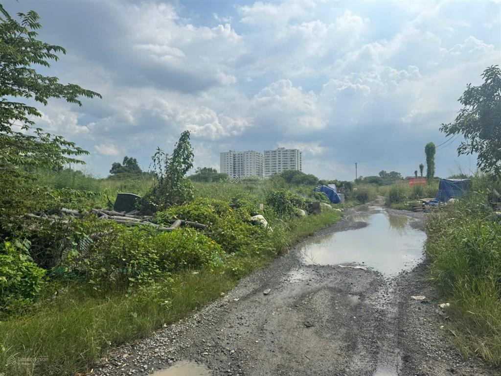 Quá hot! đất thổ xây cao 9699m2 tây lân, bình tân. 75x129m, quá rẻ ~ 24tr/m2, giá 240 tỷ gấp bán!