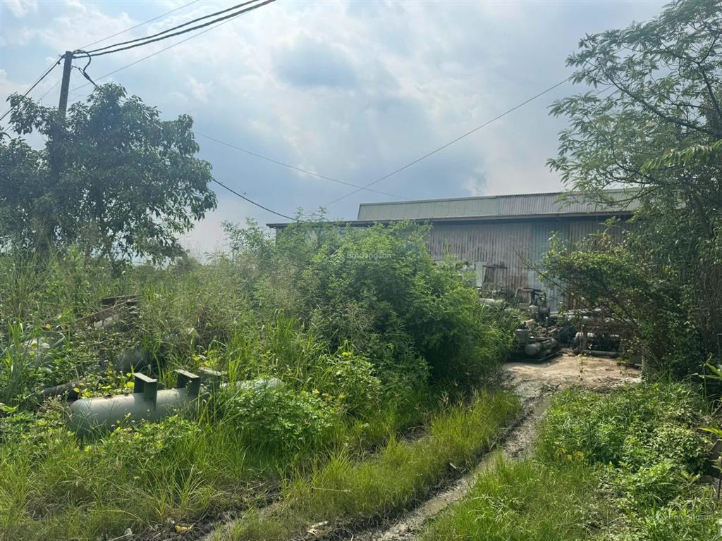 Quá hot! đất thổ xây cao 9699m2 tây lân, bình tân. 75x129m, quá rẻ ~ 24tr/m2, giá 240 tỷ gấp bán!